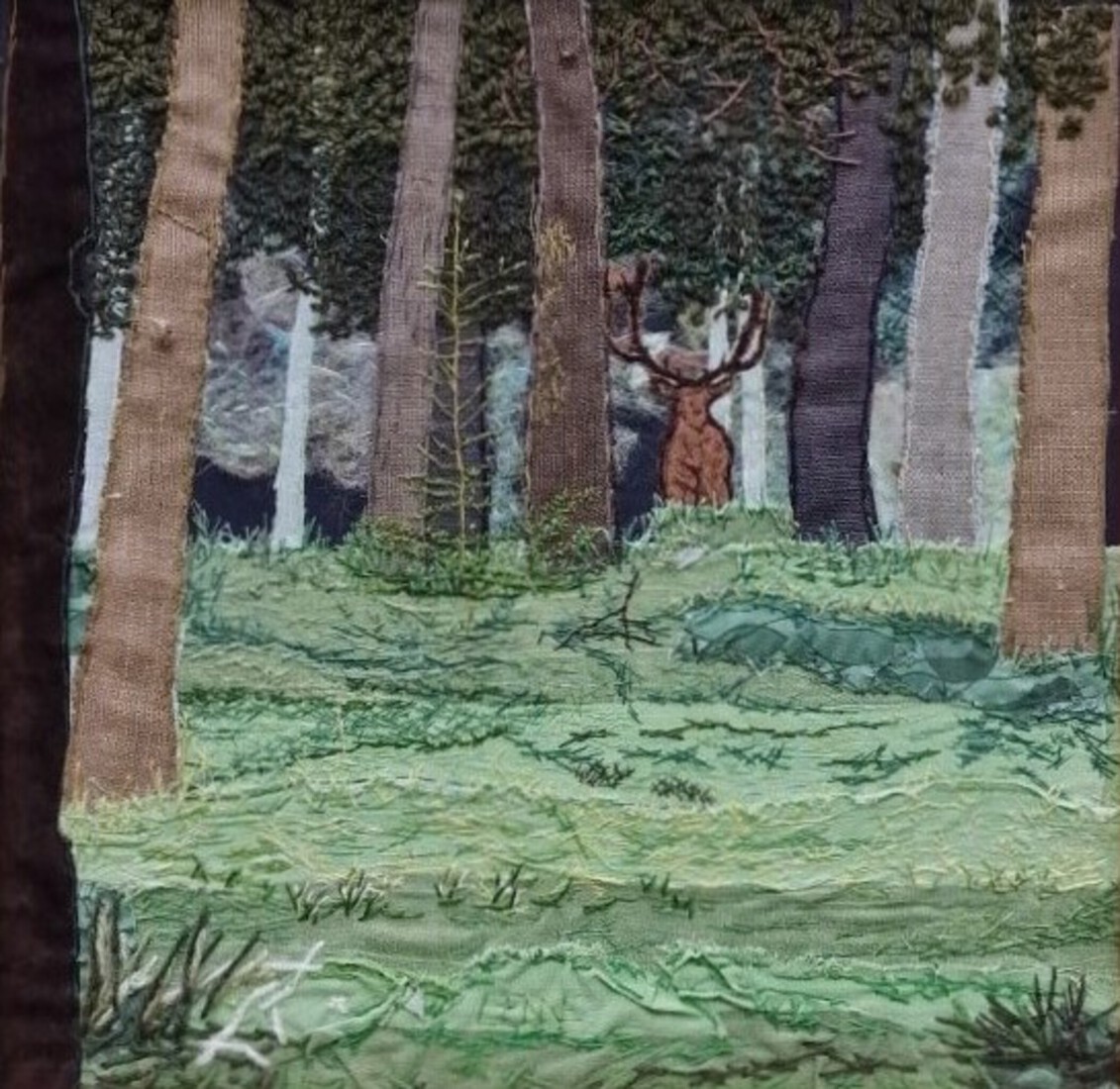 Edelhert Hoge Veluwe