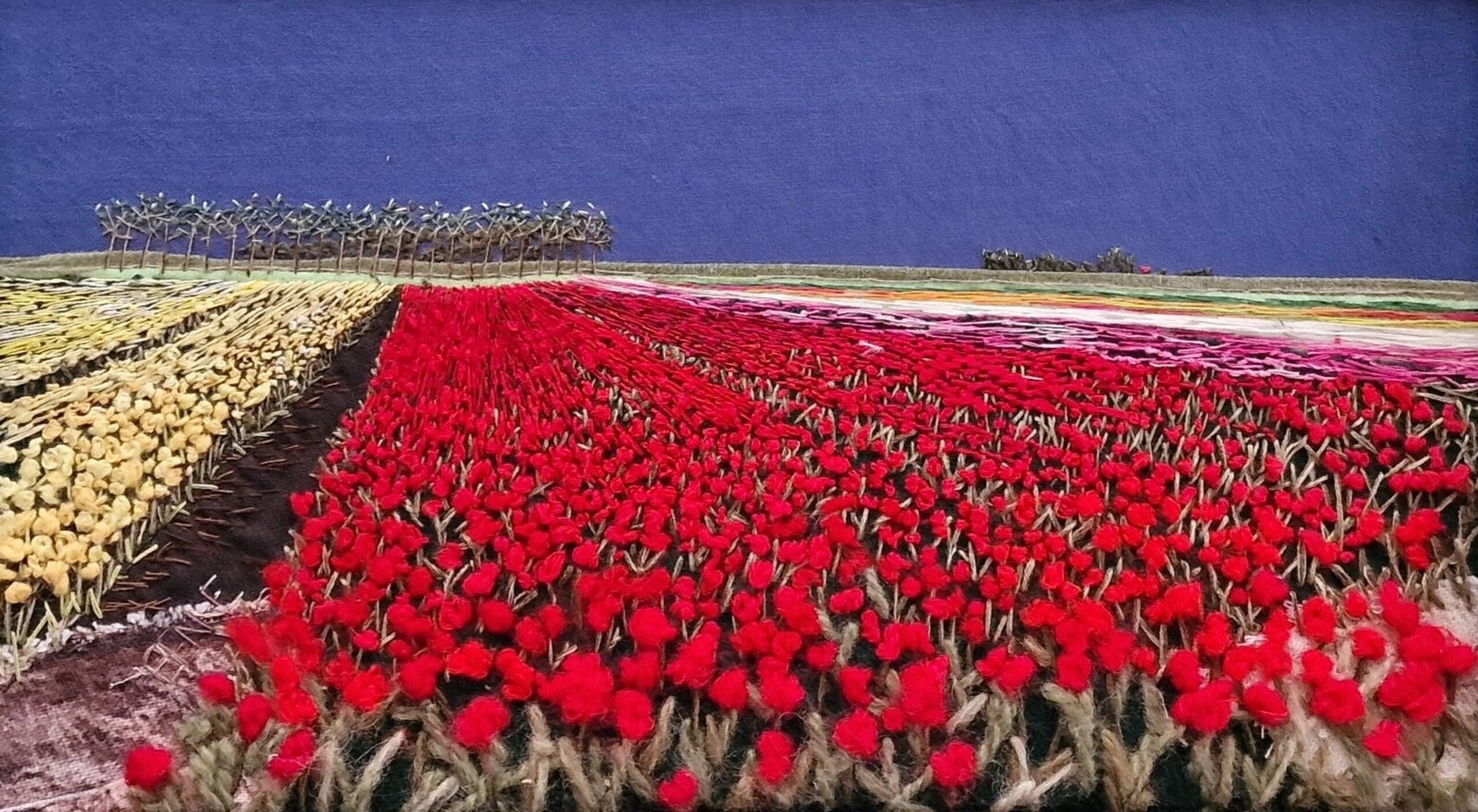 Tulpenveld geel / rood