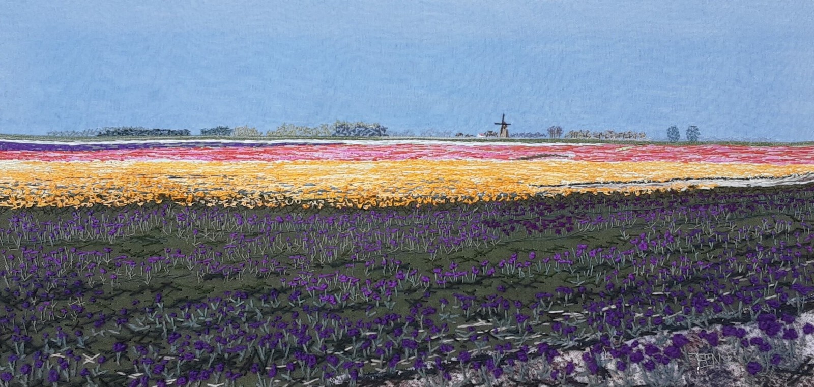 Tulpenvelden paars / geel / roze