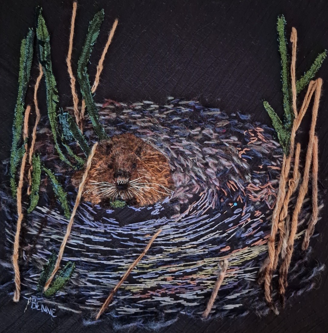 Bever in de uiterwaarden