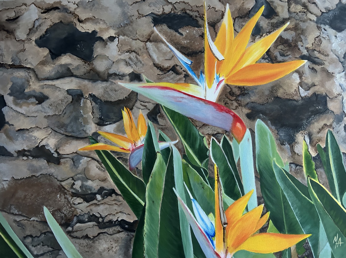 Madeira, bloemeneiland.