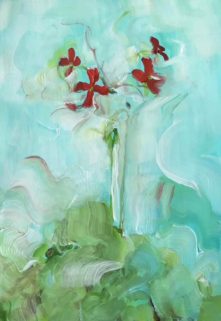 Geranium