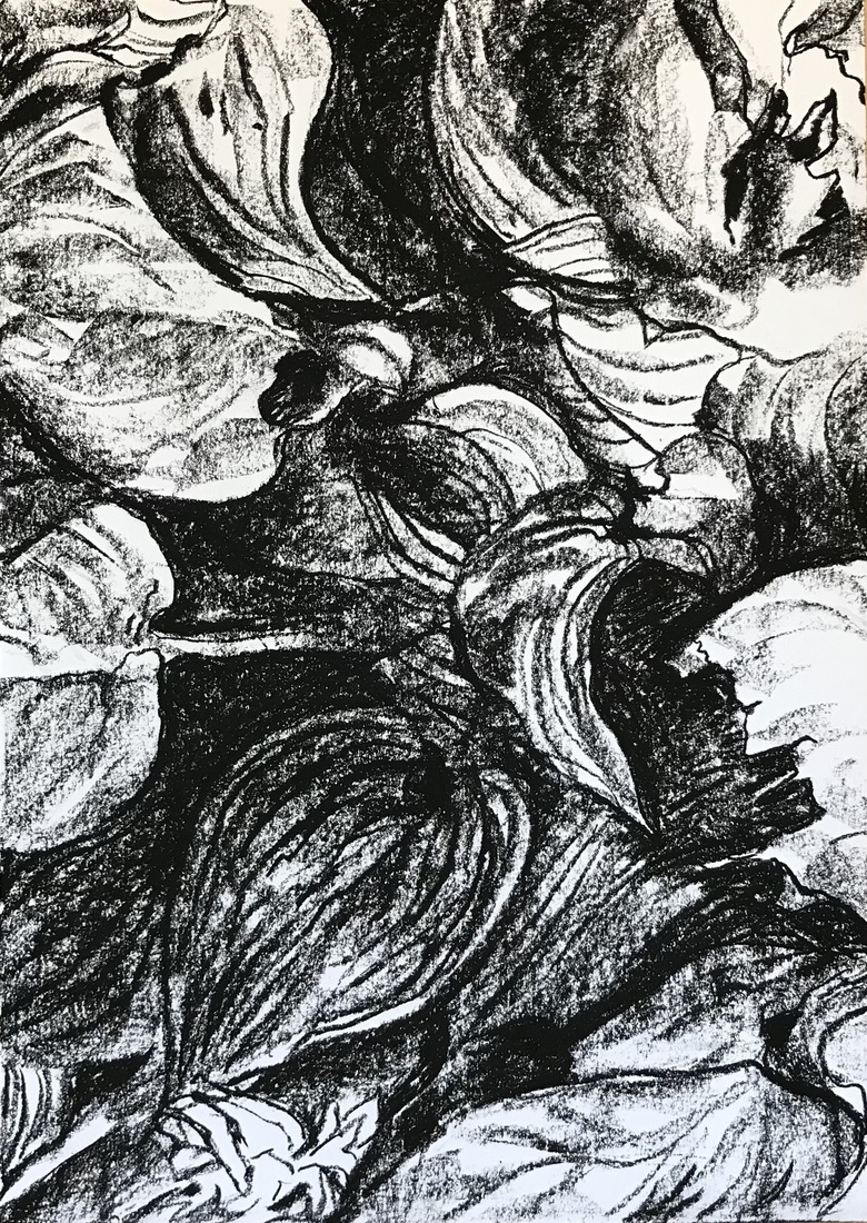 Hosta 2