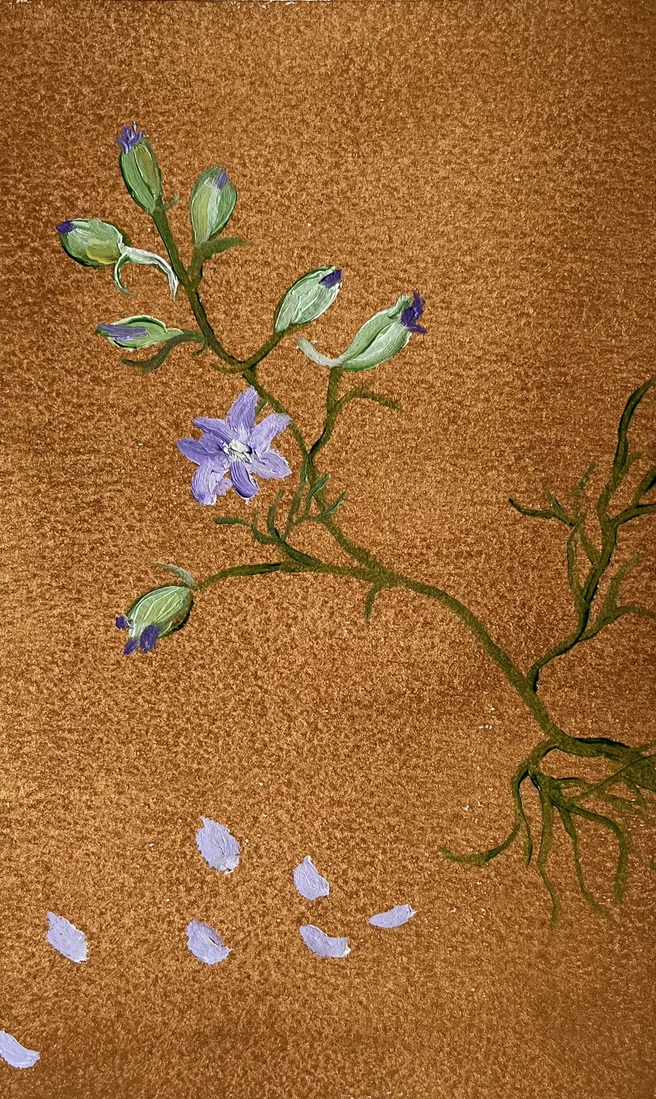 Ridderspoor op goud 2