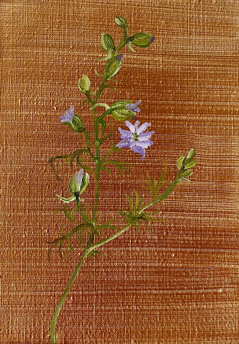 Ridderspoor op goud.