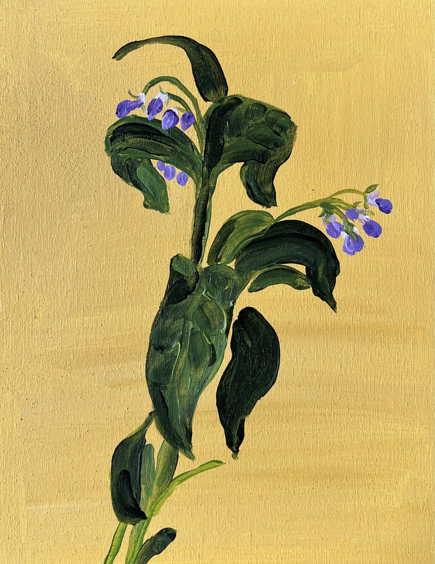 Smeerwortel