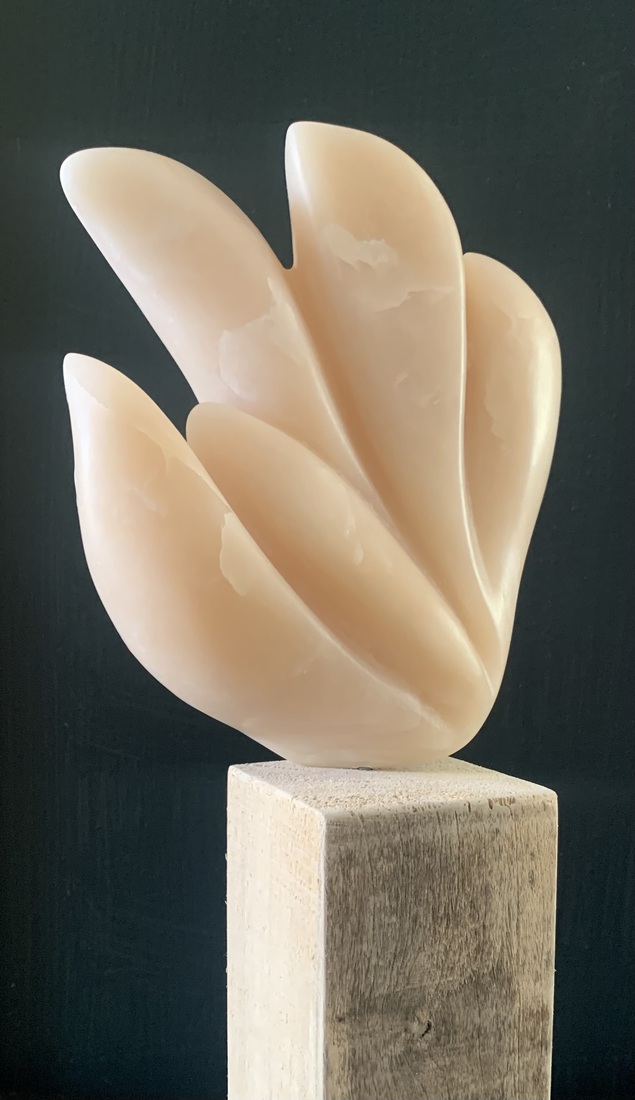 In dezelfde richting