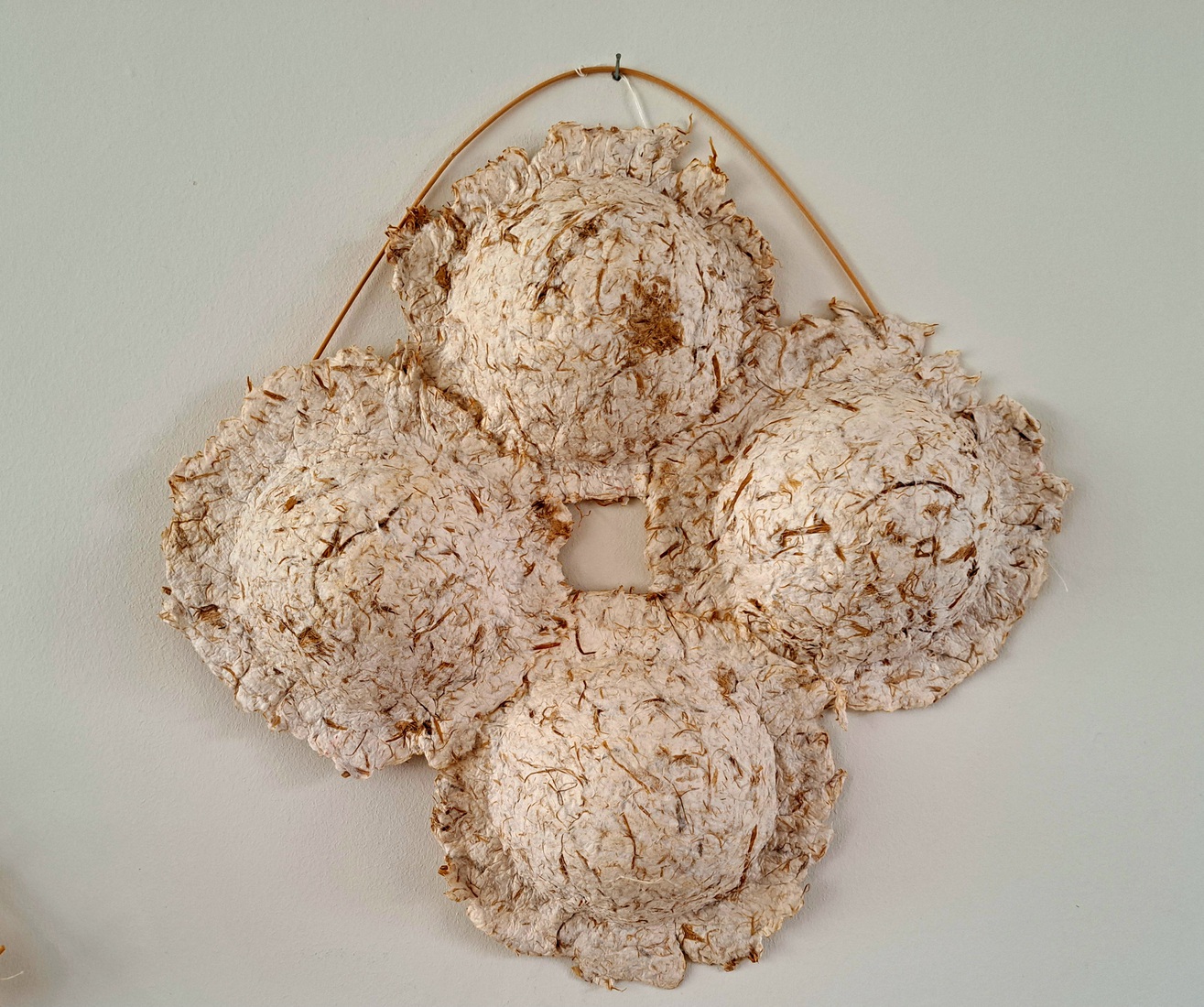 bollen