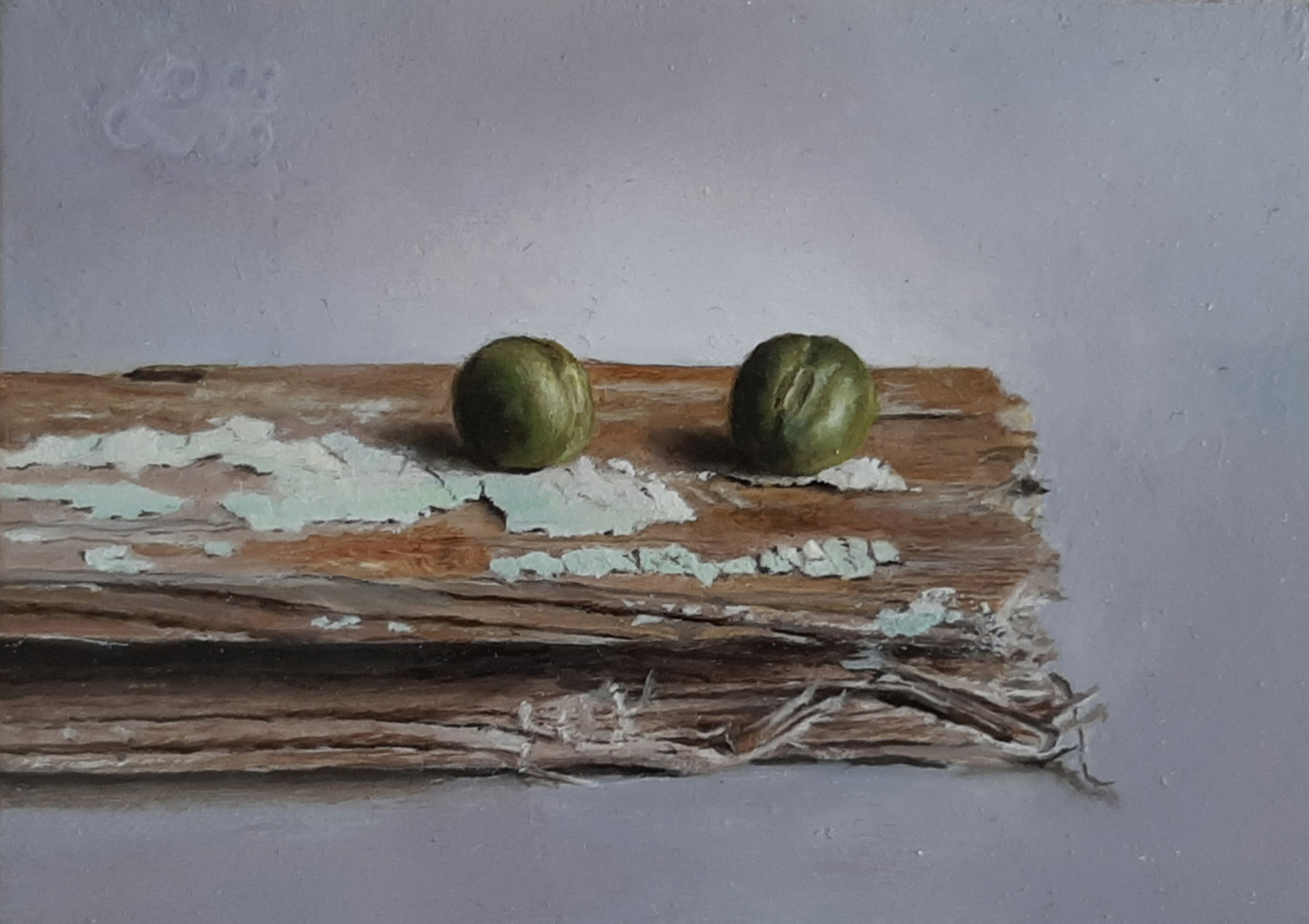 Twee erwten op een plankje (26)