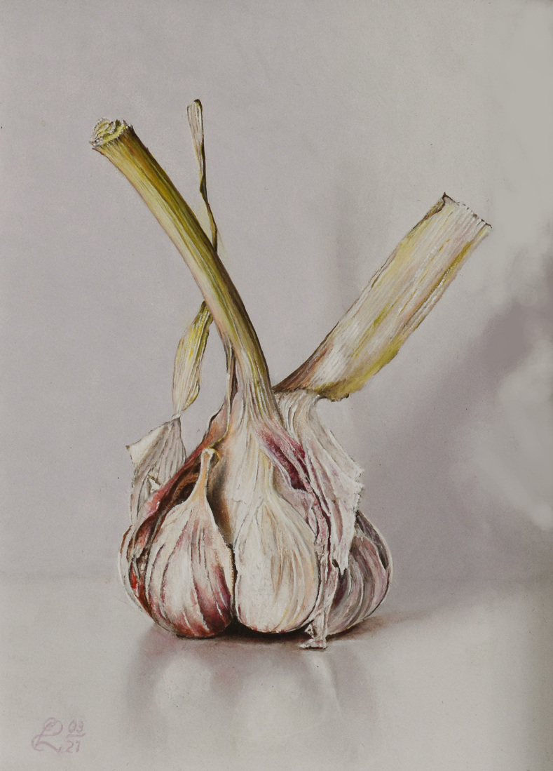 Verse knoflook (37)