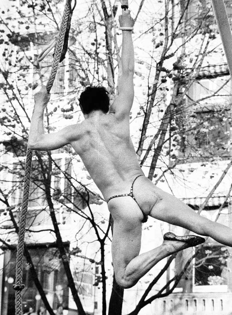 Tarzan (king of the Jungle)