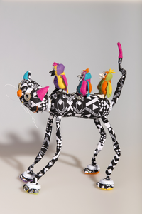 Katten in diverse groepen