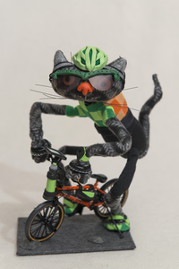 Katten besteden al hun vrije tijd  aan hun favoriete sport.