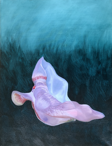 De actuele  ontdekkingen van nieuwe dieren in de diepzee maakte dat ze een paar prachtige boeken koopt, waaronder Art Forms in Nature van 
Ernst Heackel. Eindeloos maakt ze tekeningen en schilderijen naar aanleiding van zijn prachtige illustraties (zie website mthiescheffer.nl). Ze was ook gefascineerd door een opname van een nieuw ontdekte kwal, die zich kon uitvouwen tot fantastische vormen en  “Deepsteria”werd genoemd. 
