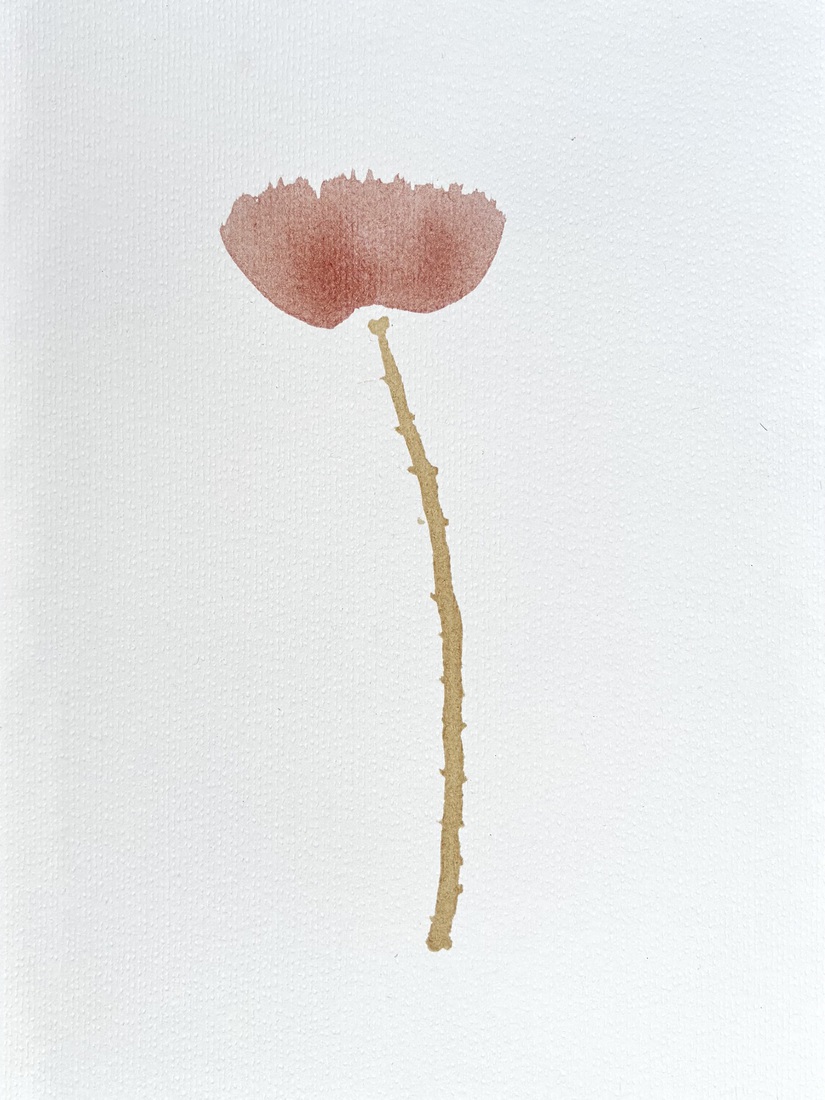 Klaproos III