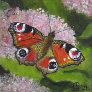 Schilderijen van planten en dieren in hun natuurlijke omgeving