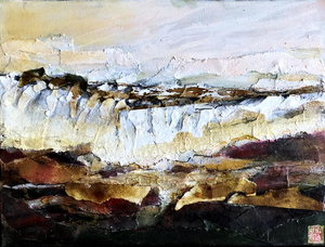 In 2022 werk ik veel met dik papier, bister, acrylinkt en olieverf. Vervolgens gebruik ik in 2023 veel gedroogde  materialen uit de natuur. In 2024 is de combinatie van workshops en bijeenkomsten rond een thema een belangrijke inspiratie bron en een uitdaging.