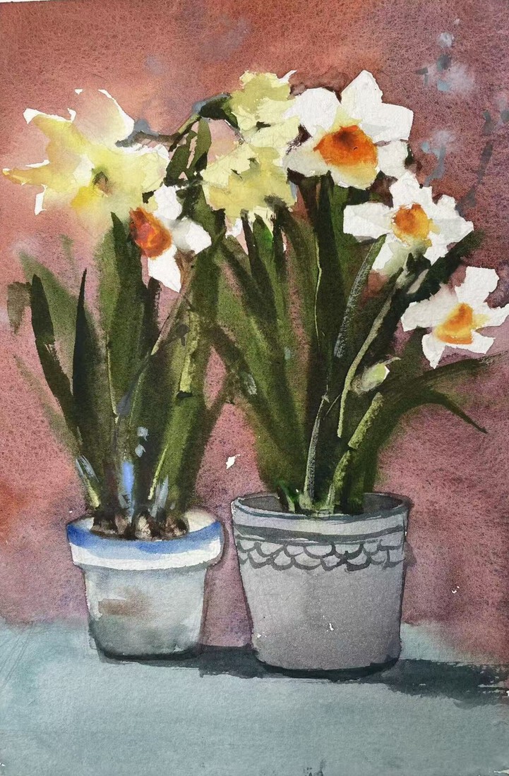 Narcissen in potten