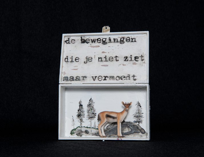 de bewegingen die je niet ziet maar vermoedt