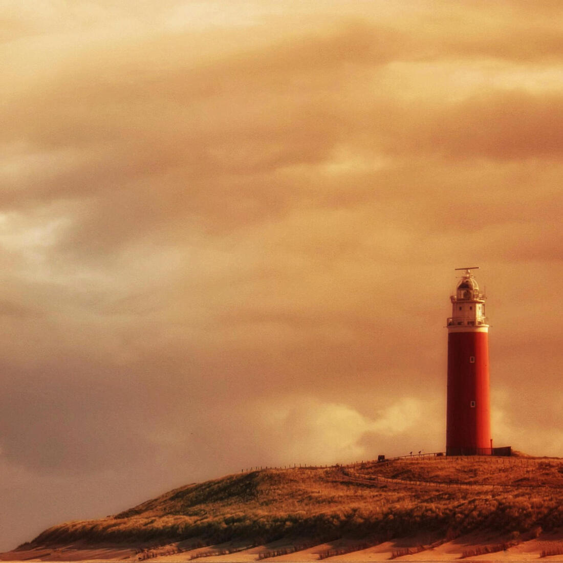 Copycat - Anne Kiwitz