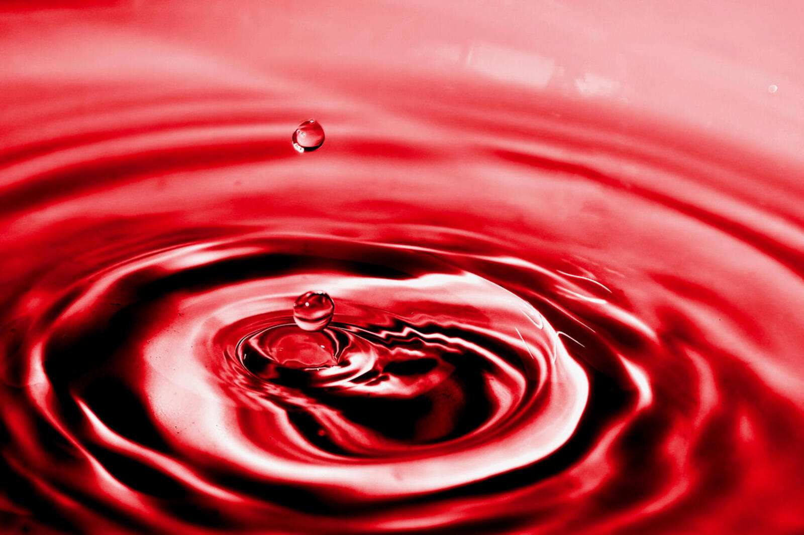 Copycat - Monique Hofstad