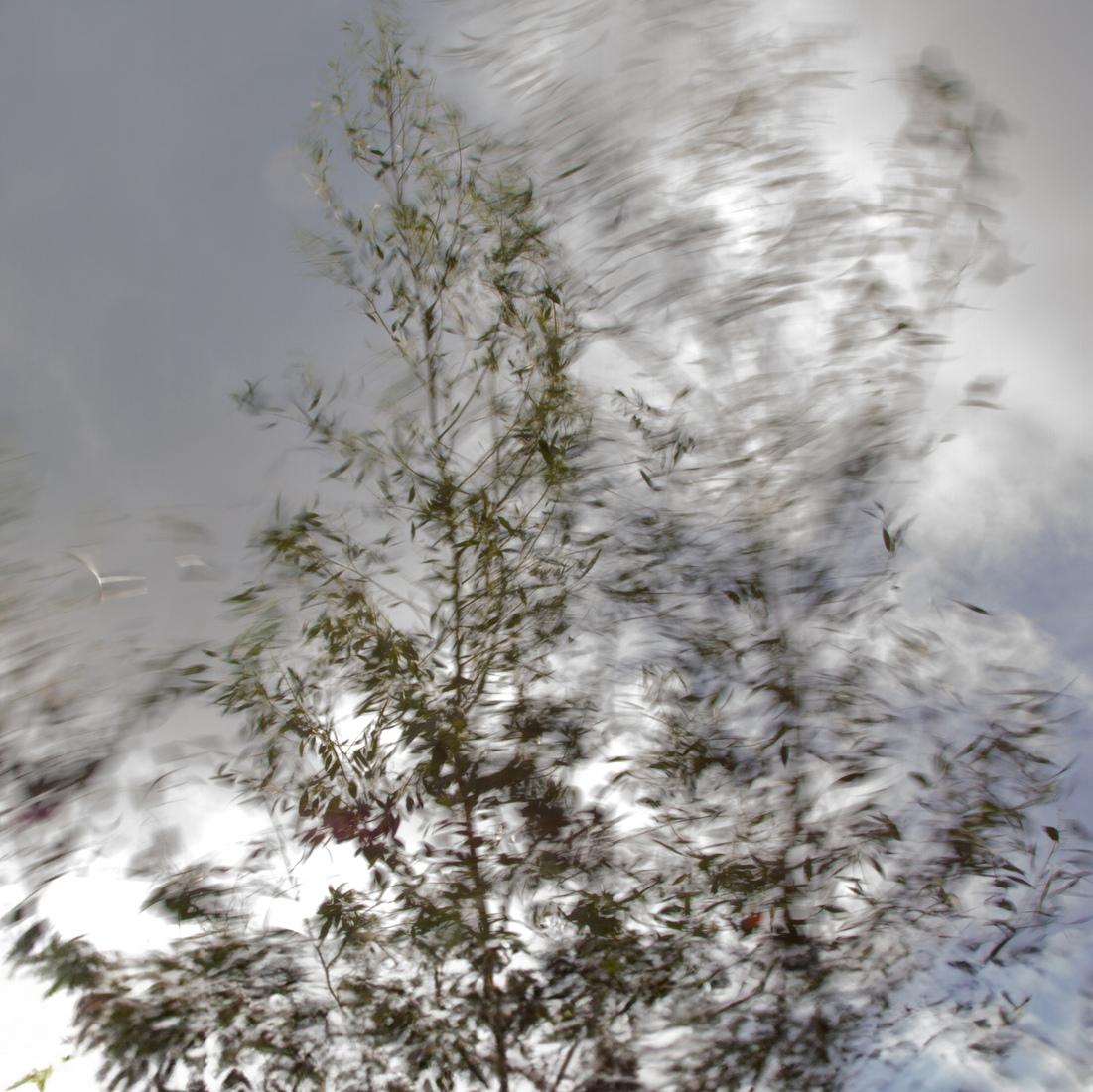 Kracht - Monique Hofstad