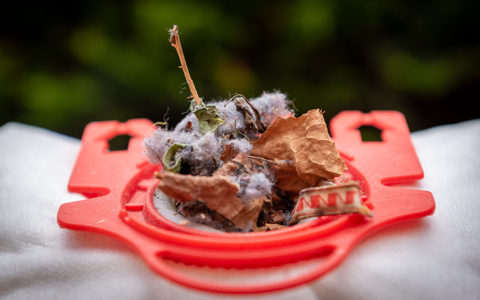 Organisch - Michiel Hageman