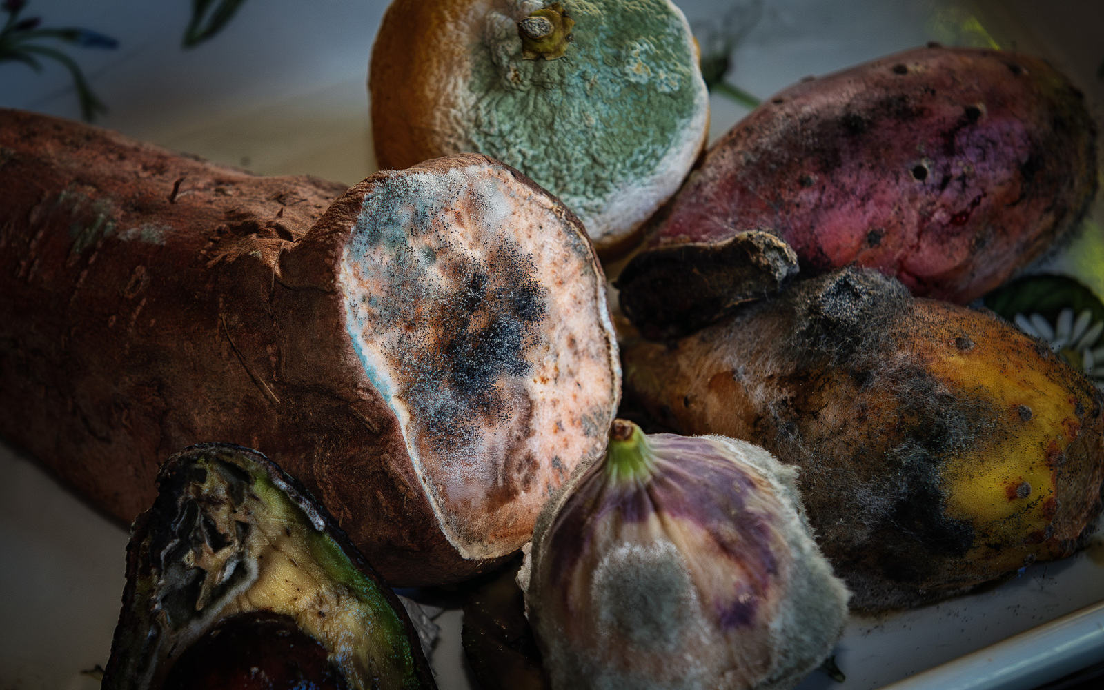 Organisch - Michiel Hageman