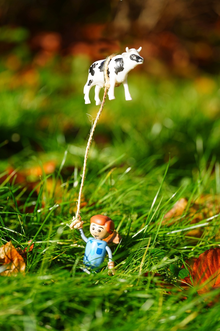 Surrealisme - Bert Hobelman