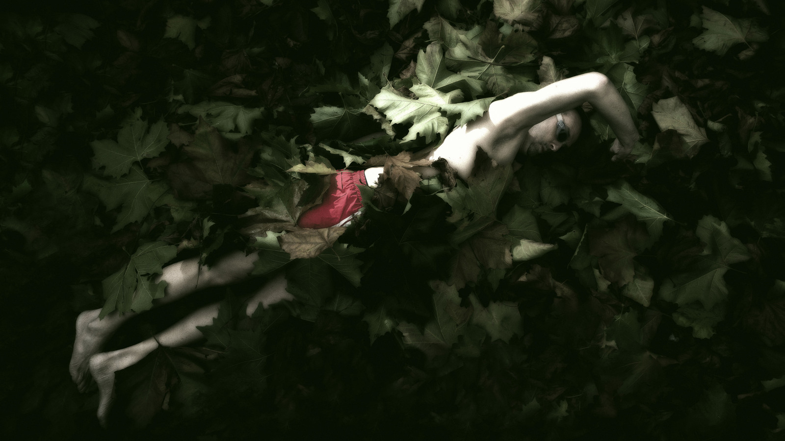 Surrealisme - Michiel Hageman