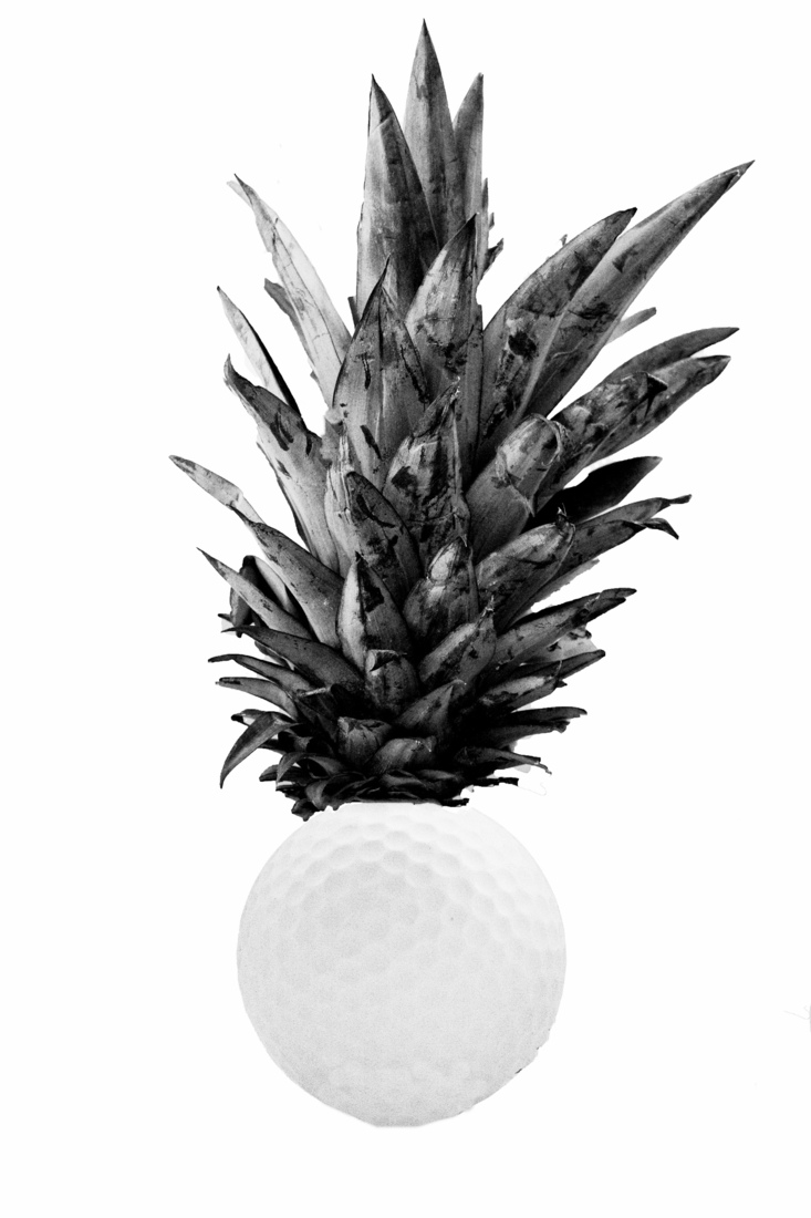 Surrealisme - Monique Hofstad