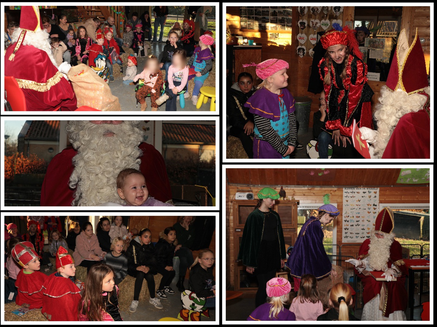 Reportage - Jos Palm