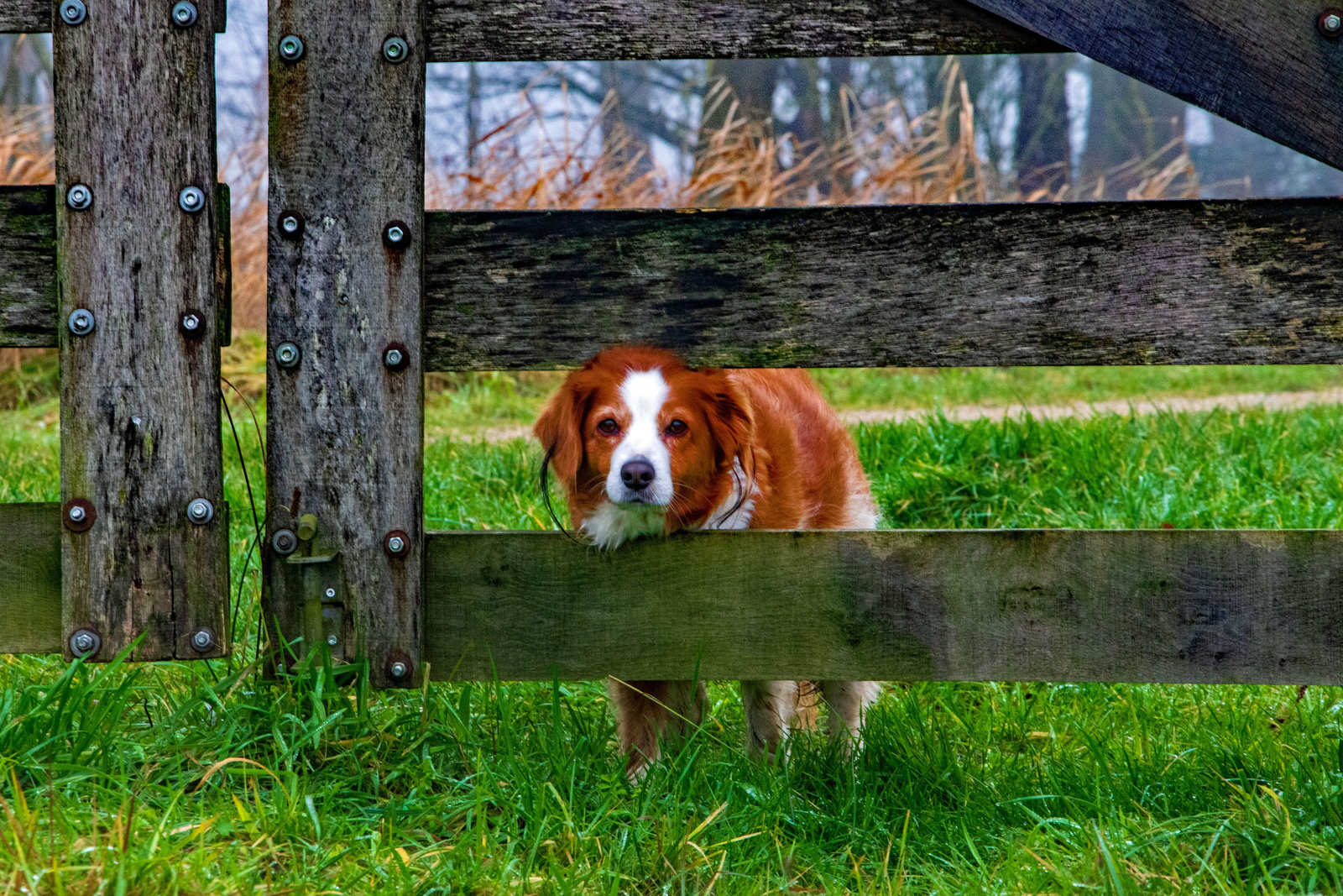 Zelfde voorwerp II - Hennie Jansen