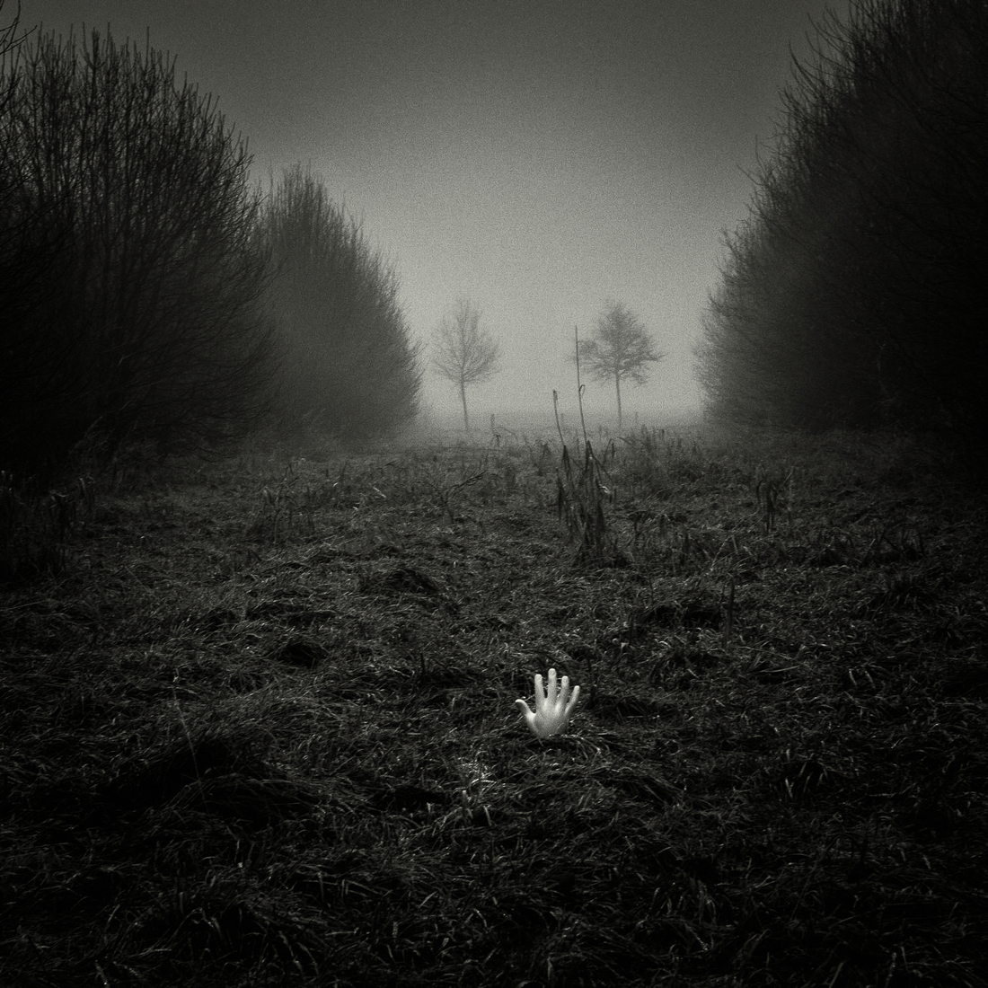 Zelfde voorwerp II - Jan Hoetink