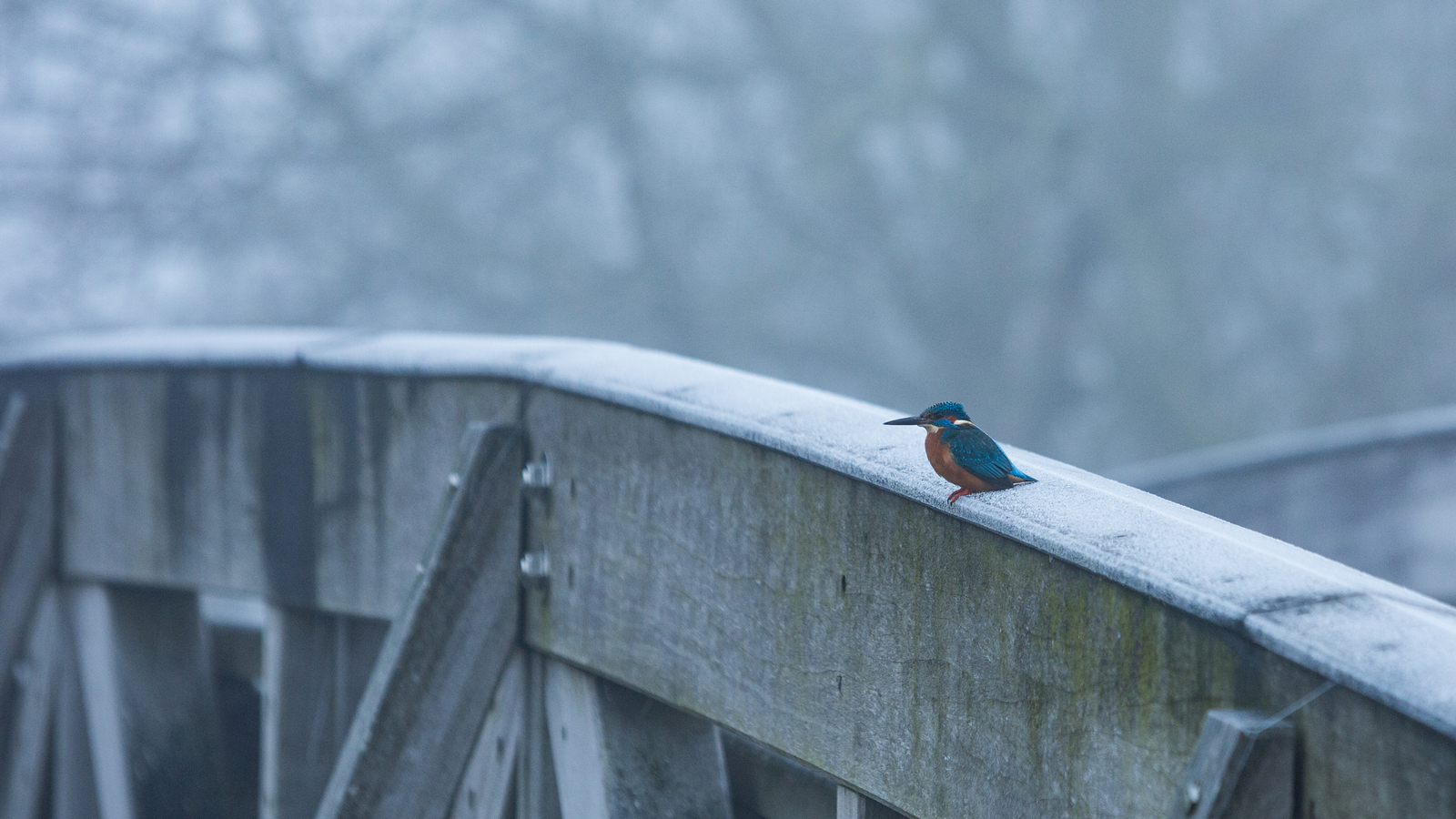 Zelfde voorwerp II - Paul Roelofs