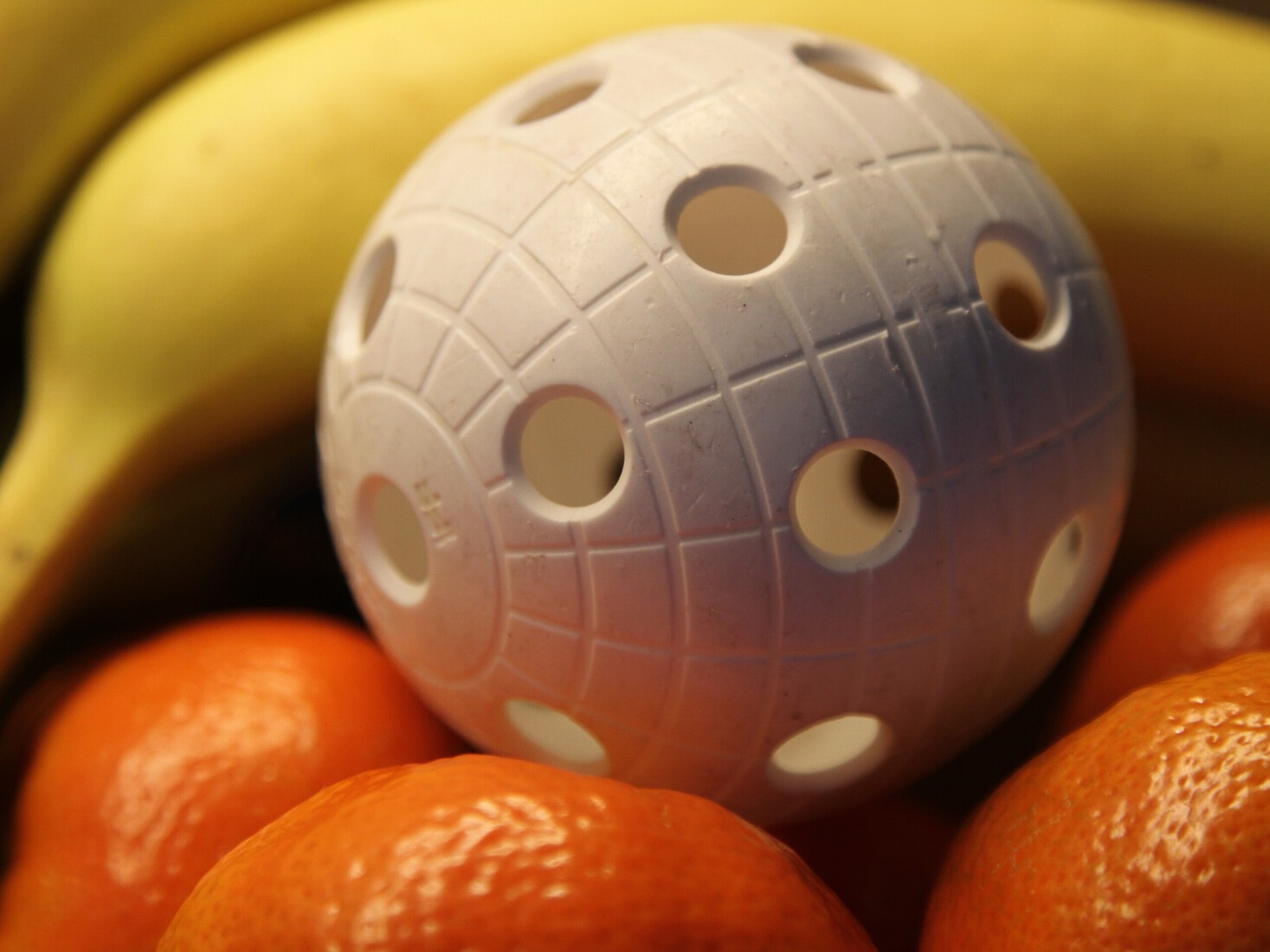 Zelfde voorwerp IV - Petra van Loon