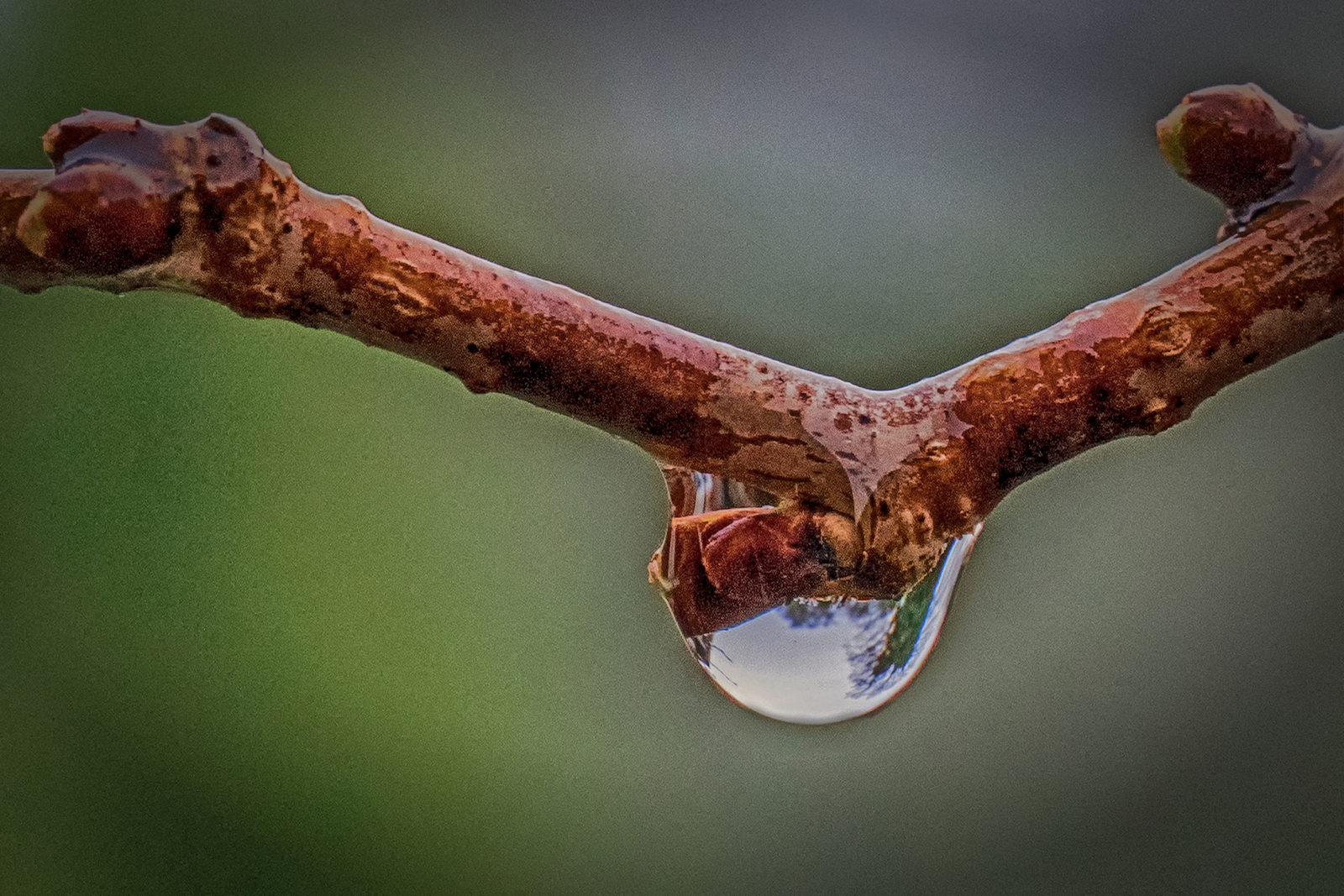 Minimalisme - Hennie Jansen