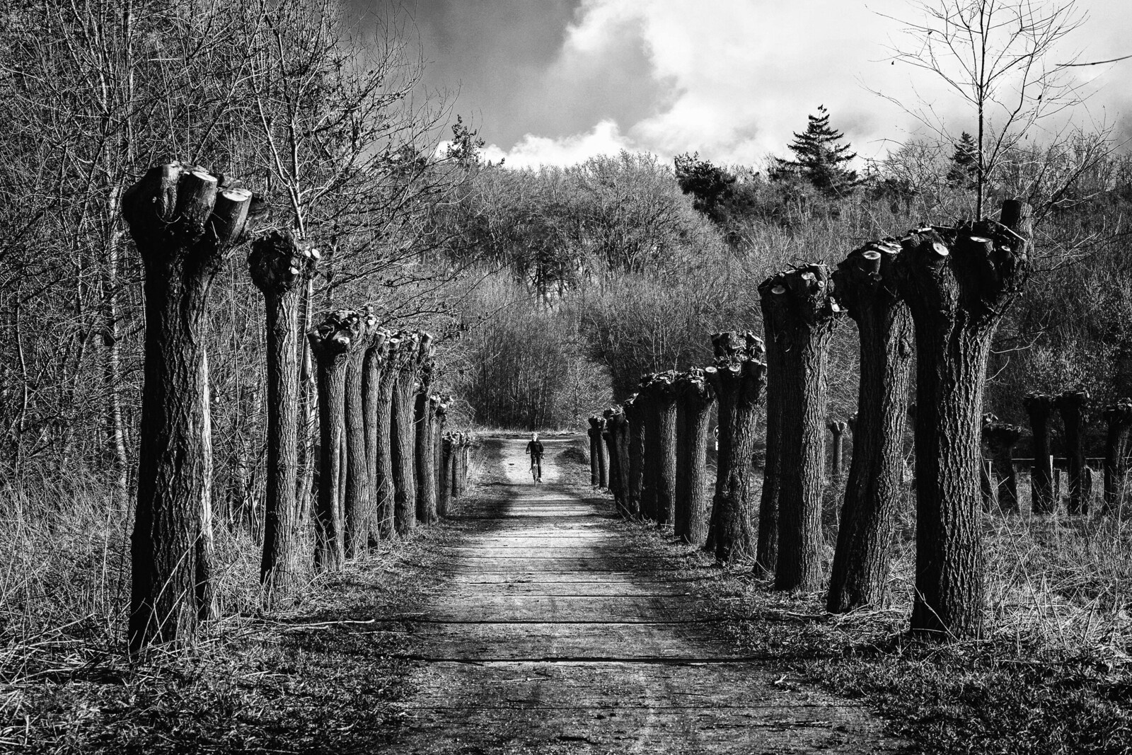 Minimalisme - Hennie Jansen