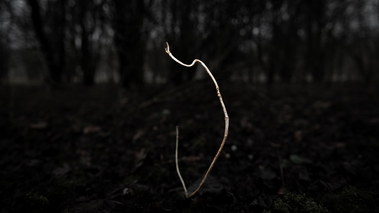 Minimalisme - Michiel Hageman