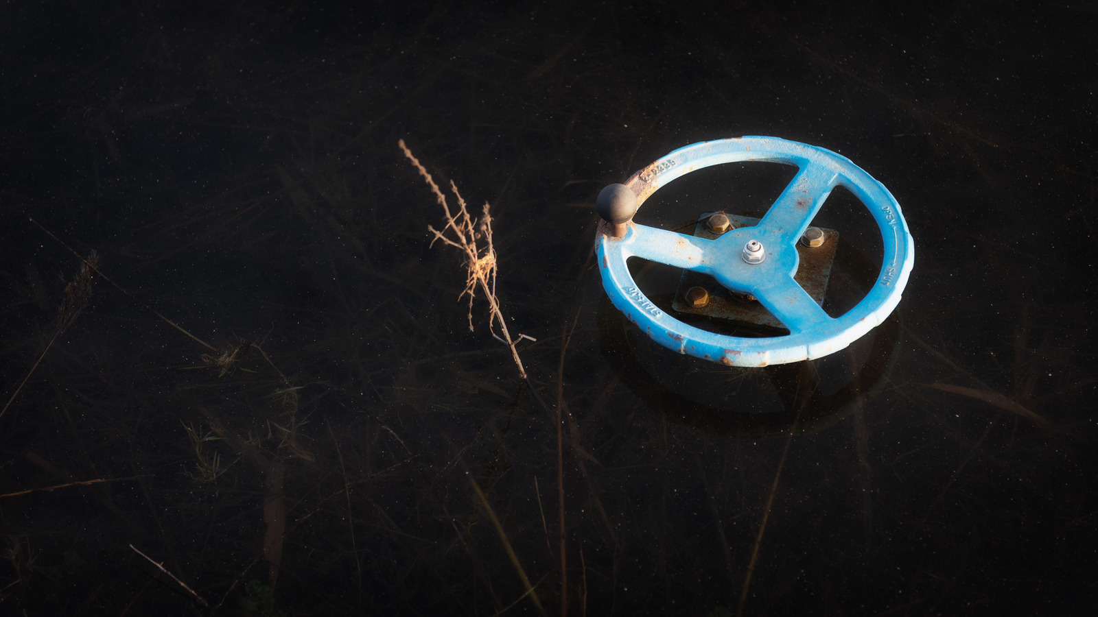 Gulden Snede - Michiel Hageman