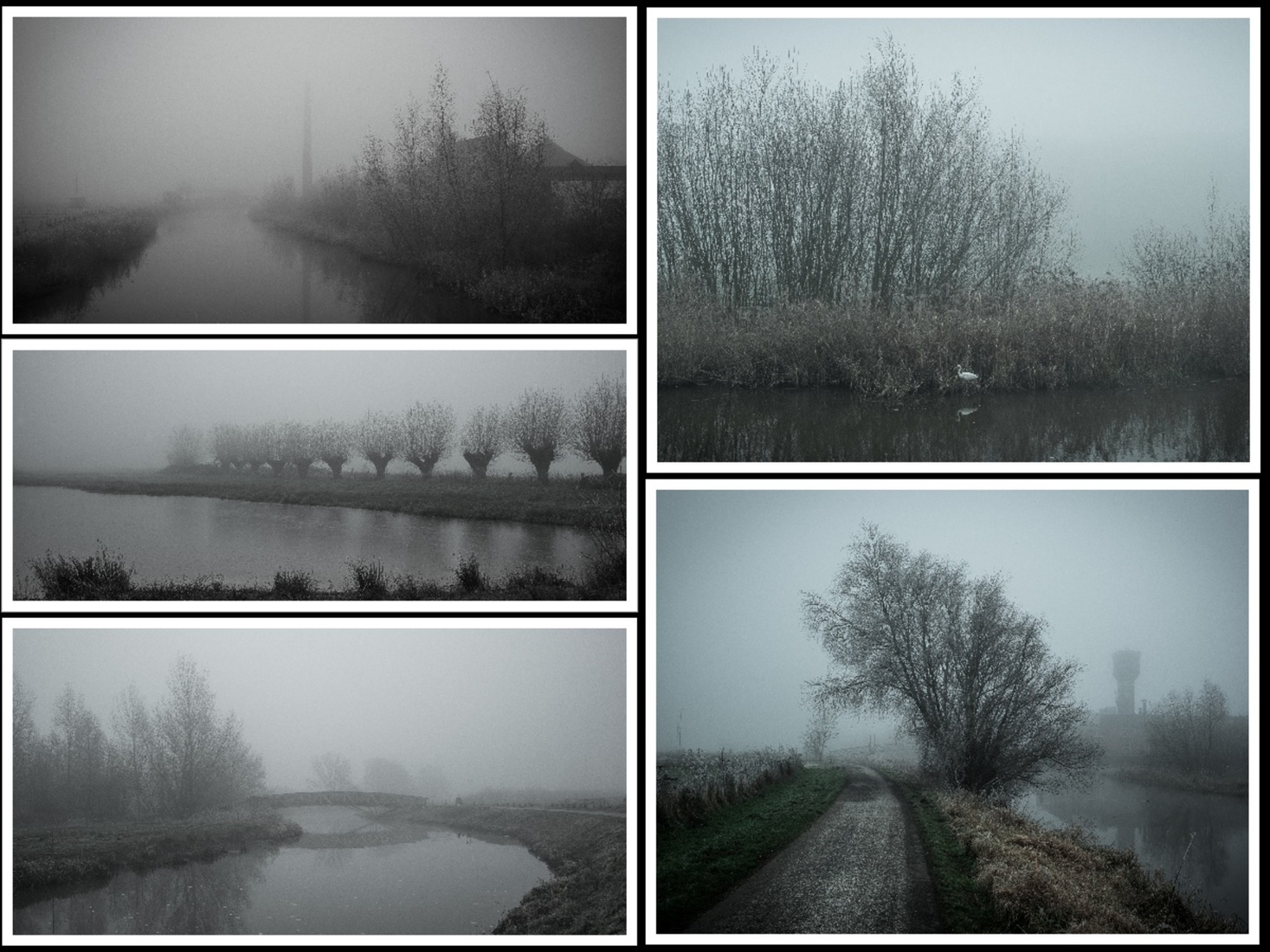 Seriematig - Jan Hoetink