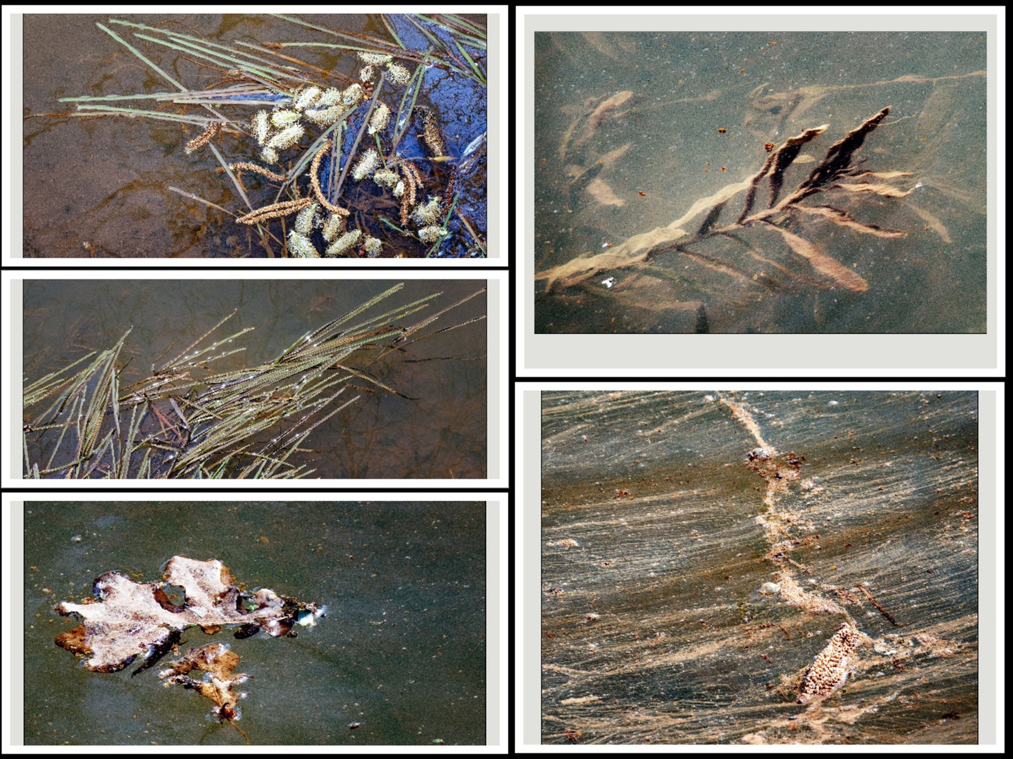 Seriematig - Martin van der Kemp