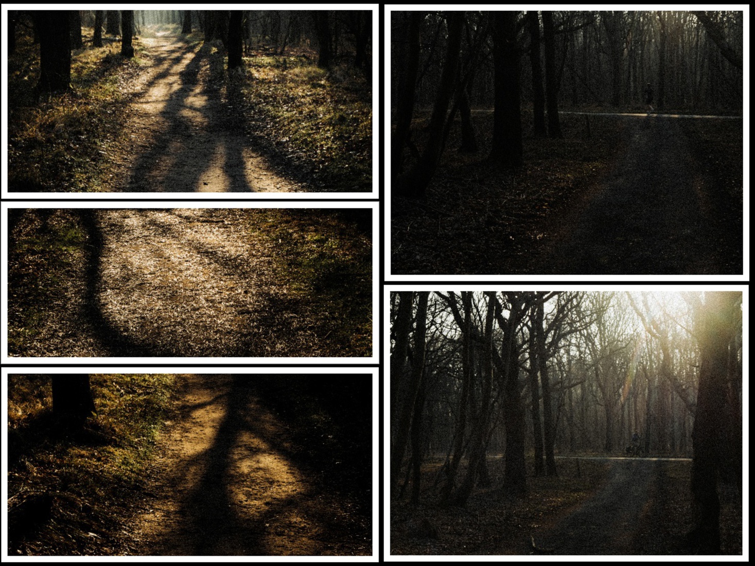 Seriematig - Paul Roelofs