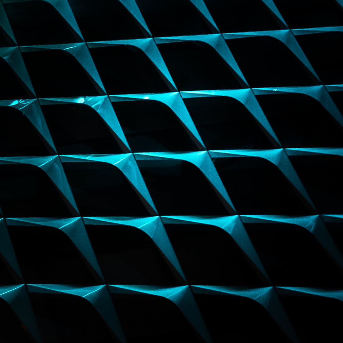 Lijnen - Jan Hoetink