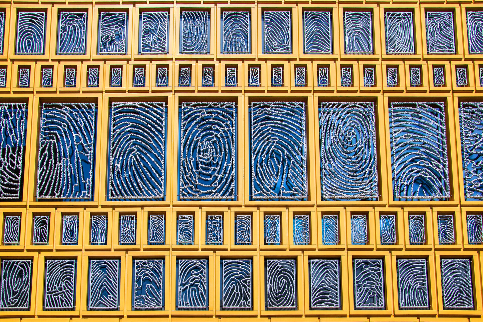 Lijnen - Hennie Jansen