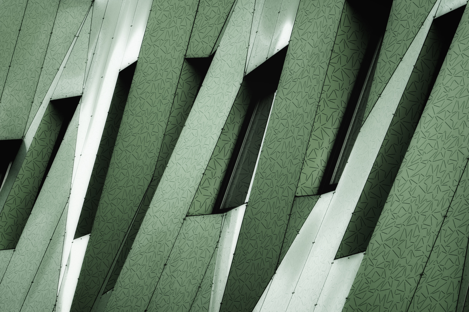 Lijnen - Monique Hofstad