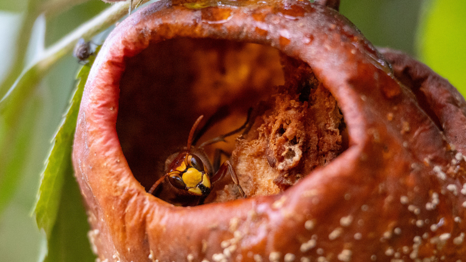 Vrije opdracht - Karin Ormel