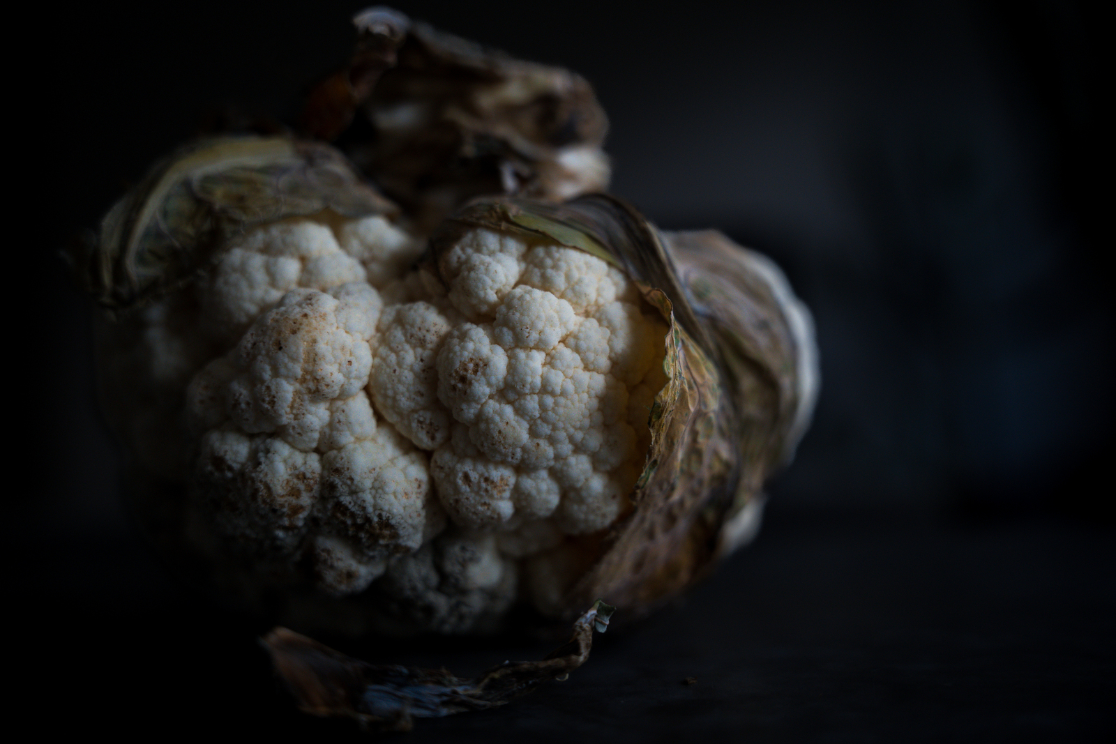 Voedsel - Leontine Ratering