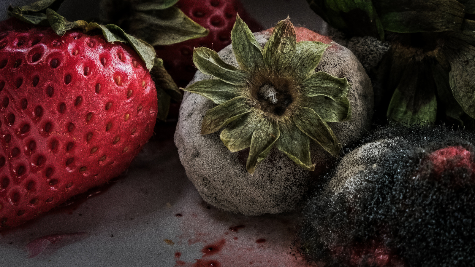 Voedsel - Paul Roelofs