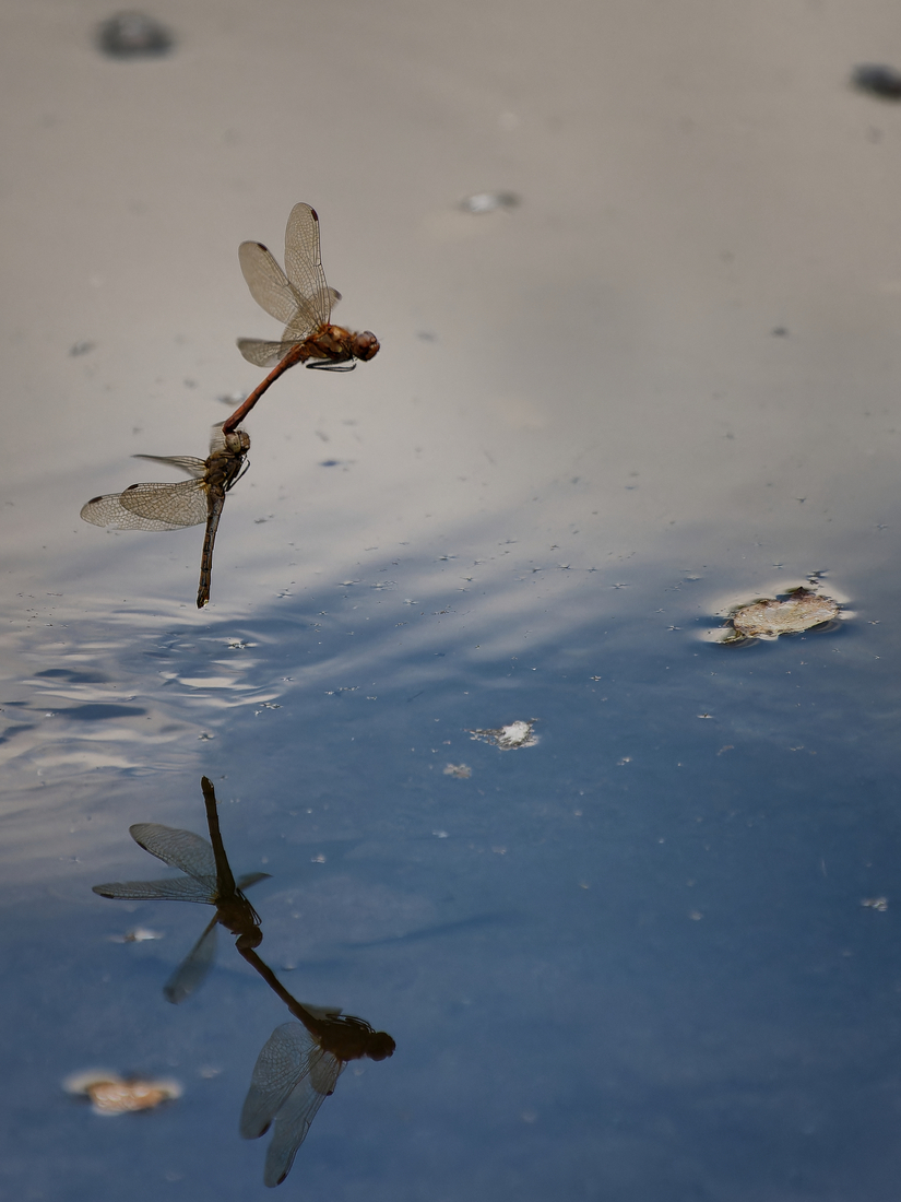 Verbinding - Martin van der Kemp